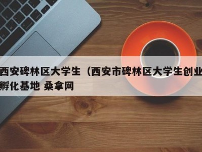 宁波西安碑林区大学生（西安市碑林区大学生创业孵化基地 桑拿网