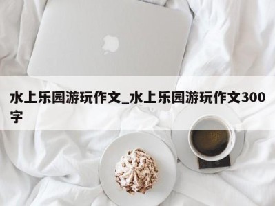 宁波水上乐园游玩作文_水上乐园游玩作文300字 