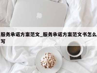 宁波服务承诺方案范文_服务承诺方案范文书怎么写 